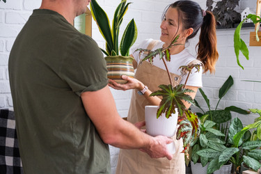 Similar image 22437051