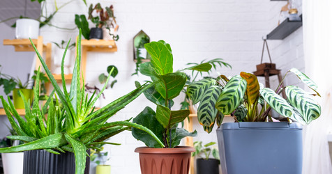 Similar image 22437057