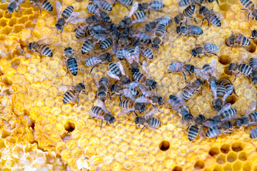 Similar image 22437060