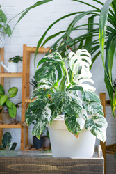 Similar image 22437068