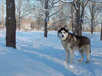 Similar image 22418935