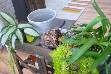 Similar image 22437074