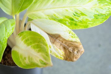 Similar image 22437089