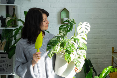 Similar image 22437090