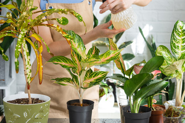 Similar image 22437092