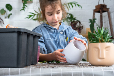 Similar image 22437093