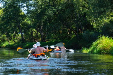 Similar image 22437113