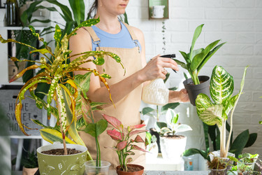 Similar image 22437118