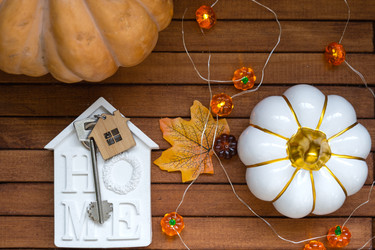 Similar image 22437125