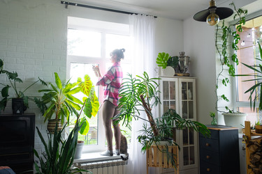 Similar image 22437127