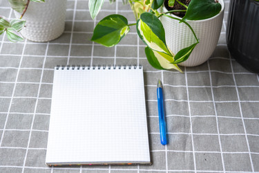 Similar image 22437130