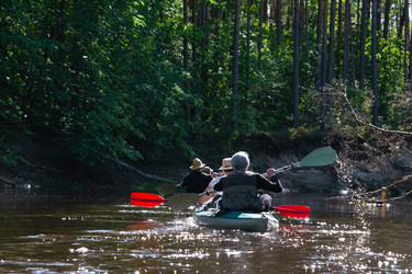 Similar image 22437134