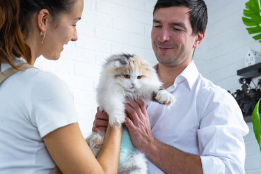 Similar image 22437135