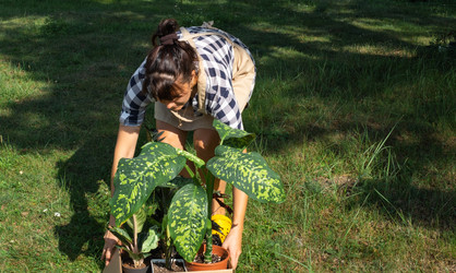 Similar image 22437137