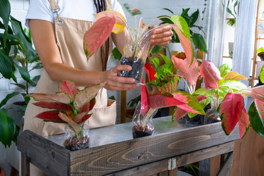 Similar image 22437152