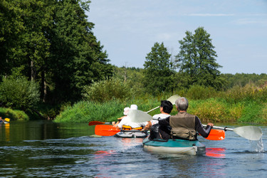 Similar image 22437154