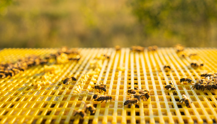 Similar image 22437156