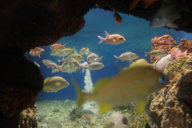 Similar image 22424165