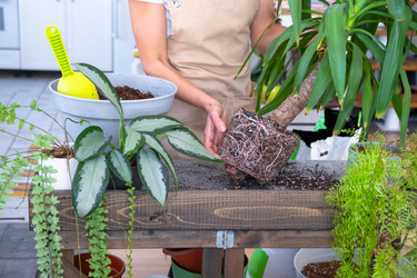 Similar image 22437161