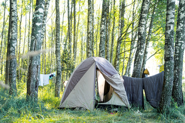 Similar image 22437162