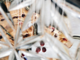 Similar image 22424166