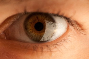 Similar image 22424171