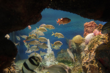 Similar image 22424172