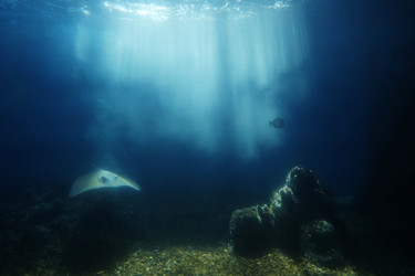 Similar image 22424177