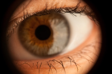 Similar image 22424184