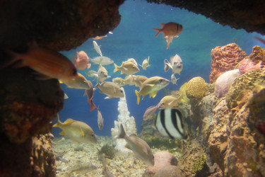 Similar image 22424189