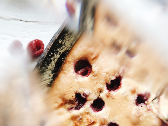 Similar image 22424192