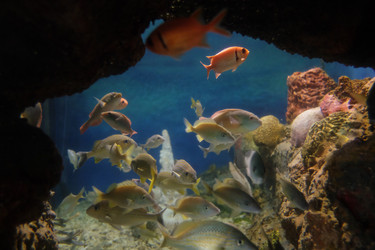 Similar image 22424193