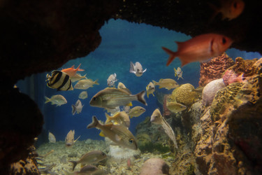 Similar image 22424196