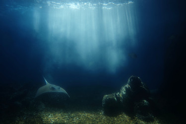 Similar image 22424197