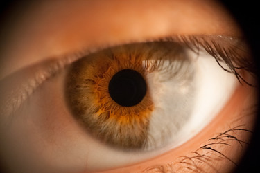 Similar image 22424203