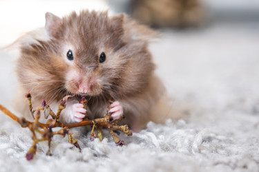 Similar image 22437170