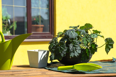 Similar image 22437176