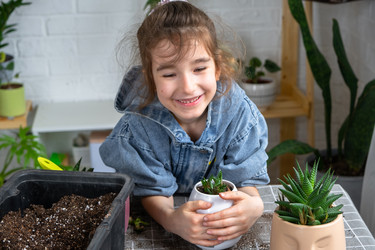 Similar image 22437184