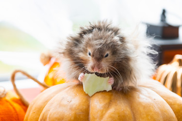 Similar image 22437203