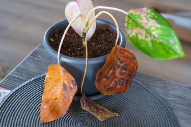 Similar image 22437208