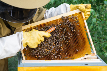 Similar image 22437212