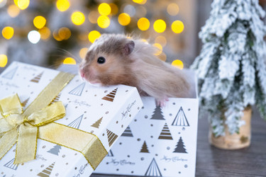 Similar image 22437215