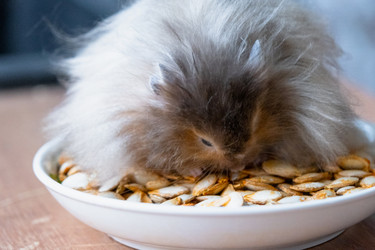 Similar image 22437219