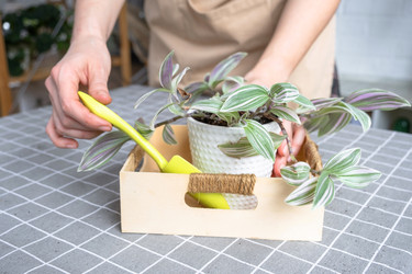 Similar image 22437228