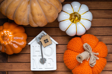 Similar image 22437229