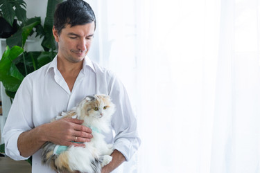 Similar image 22437230