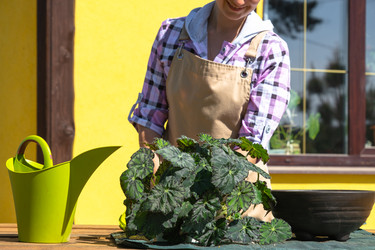 Similar image 22437238