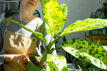 Similar image 22437241