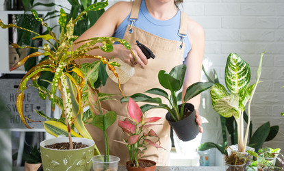 Similar image 22437245