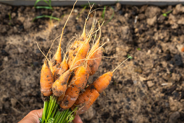 Similar image 22437258